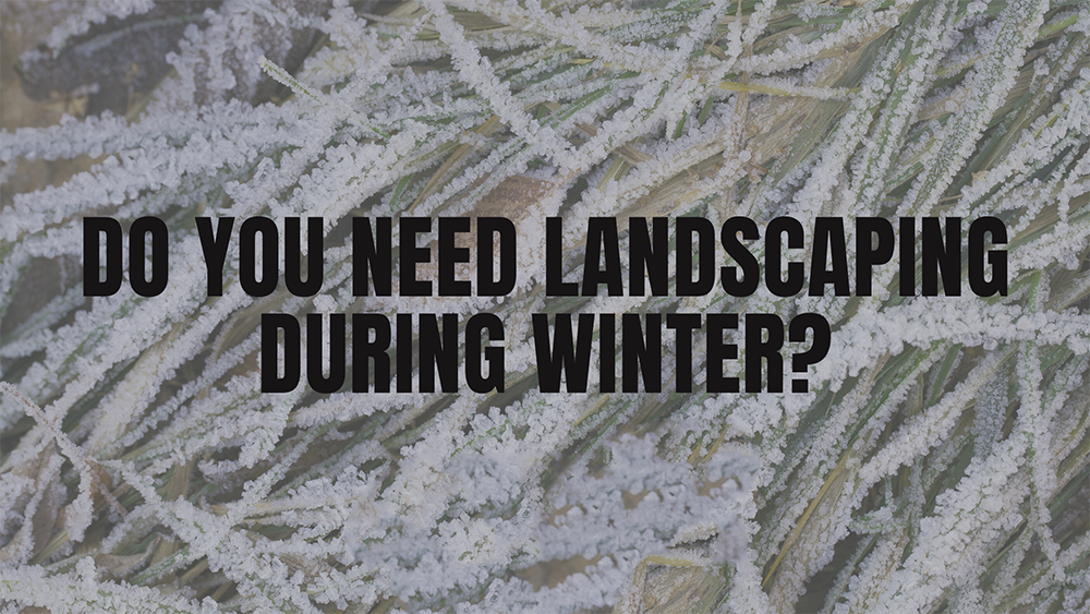 Do You Need Landscaping During Winter.png